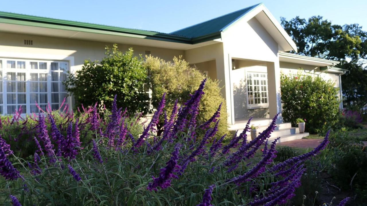 Daisy Place Franschhoek Luaran gambar
